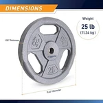 Marcy Classic 1" Cast Iron Standard Grip Plates - 25LBS. Fixed Price $39.21.