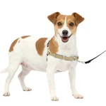 Petsafe Easy Walk Harness Small Fawn/brown No-pull Leash Training Dog. Fixed Price $22.99.