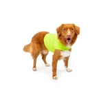Mellow Shirt Anxiety Calming Wrap For Medium Dogs, Lime - Stress Relief. Fixed Price $43.24.