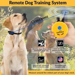 Educator E-collar Mini 1/2 Mile Remote Dog Trainer ET-300 ET-302. Fixed Price $199.99.