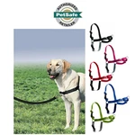 Petsafe Easy Walk No-pull Dog Harness Adjustable, All Sizes & Colors. Fixed Price $22.99.