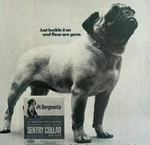 1967 Sergeants Sentry Dog Flea Collar Advertisement Pug Post Magazine Pets HM2CC. Fixed Price $6.00.