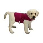 Comfort Dog Anxiety Relief Coat, Calming Vest Wrap Thundersto.... Fixed Price $32.96.