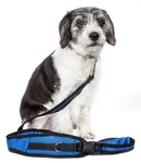 Pet Life Echelon Hands Free Convertible 2-IN-1 Training Dog Leash Bed. Fixed Price $26.00.