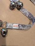 Mighty Paw Tinkle Bells Grey Paisley) Euc. Fixed Price $5.00.