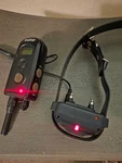 Dogtra 2300NCP Professional Grade 3/4-MILE 2-DOG Expandable Training Collar. Fixed Price $175.00.