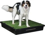 Petsafe Loo Portable Dog Potty, Alternative To Puppy Pads Large PWM00-14499. Fixed Price $199.88.