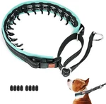 Mayerzon Martingale No Pull Dog Collar Medium Black Teal Trim. Fixed Price $26.98.