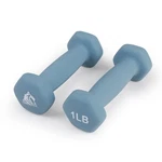 Lionscool Neoprene Coated Dumbbell Weights (sea 1LB Pair) Pound. Fixed Price $22.96.