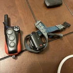 Iq Remote Trainer- Training Collar No Charger. Fixed Price $63.12.