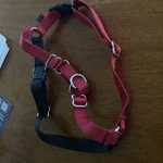 Petsafe Ewh-hc-m-red Non-pull Walking Harness (medium, Red). Fixed Price $7.00.