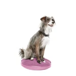 Fitpaws Dog Balance Disc 14 , Razzleberry Exercise Equipment Worko.... Fixed Price $65.65.