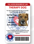 Therapy Dog Handler Card Printed Vivid Full Color Mailed Out Same Day. Fixed Price $7.99.