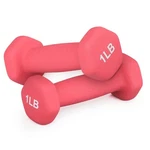 Madog Dumbbell Set, Anti-slip Neoprene Coated Hexagon Hand Weights For Home G.... Fixed Price $25.04.