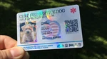 Customize Emotional Support Therapy Service Dog Id Card Esa Badge Tag. Fixed Price $39.99.