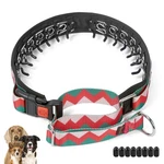 Mayerzon No Pull Dog Prong Collar Martingale, Personalized Pinch With .... Fixed Price $35.83.