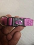 Hamilton Dog Collar Pink Bejeweled Adjustable. Fixed Price $9.94.