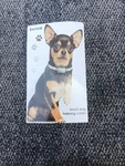 Enrivik Dog Training Collar With Remote Nib Free Shipping M186. Fixed Price $29.99.