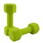 Weights Dumbbells Set Of Fitness For Woman Home Gym Health Exercise 2LB.... Fixed Price $19.89.