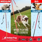 Tether V2 Outdoor Dog Interactive Toy Tugging Pull Exercise 35-70 Lbs And Up. Fixed Price $86.95.