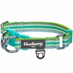 Blueberry Pet Safety Dog Collar Dual D-rings 3M Reflective Multi-colored. Fixed Price $31.90.