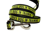 Service Dog Training Leash 1 Inch Width Custom Choose Length. Fixed Price $15.95.