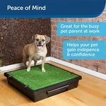 Petsafe Loo Potty Training System Dog Indoor Toilet Large/medium/small. Fixed Price $199.95.