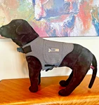 Thundershirt Medium Dog Anxiety Calming Vest Wrap Jacket Gray Thunderworks. Fixed Price $17.95.