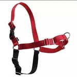 Petsafe Non-pull Walking Harness (medium, Red) Ewh-hc-m-red. Fixed Price $9.95.