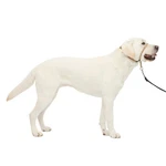 Petsafe Gentle Leader No-pull Dog Headcollar The Ultimate Large, Fawn. Fixed Price $28.88.