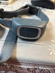 Petsafe RFA-579 Waterproof Rechargeable Remote Dog Training Collar*only. Fixed Price $10.00.