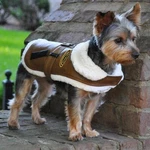 Doggie Design Brown And Black Faux Leather Bomber Coat Harness Leash. Fixed Price $29.99.