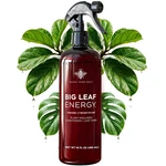 Neem Spray For Plants Big Leaf Energy, With Essential Ready-to-use. Fixed Price $35.38.