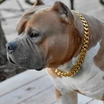 Pet Dog Cat Collar Gold Plated 10MM 16" 24" Miami Cuban Chain Fashion Necklace. Fixed Price $14.99.