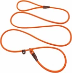 No Pull Slip Lead Leash Training Control 2-IN-1 Nylon Rope For Dogs. Fixed Price $14.57.