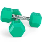 Portzon 8 Colors Options Compatible Set Of 2 Rubber Dumbbell Weight Anti-slip. Fixed Price $77.54.
