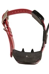 Sportdog Tek 2.0 Locate And Train E-collar Fair Condition Red Strap. Fixed Price $175.00.