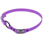 Quick Snap Training Collar Strap - Fits 300, 400, 500 Series. Fixed Price $55.19.