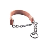 Joel Silverman's Patented Alternative Training Collar (medium Ii) - Alternati.... Fixed Price $56.02.