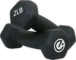 Dumbbells Lb. Weight Set, Black (ECHDB-2). Fixed Price $34.99.