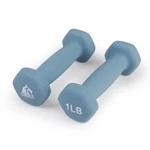 Lionscool Pair Of Anti-roll Dumbbells Neoprene Coated Hand Weights. Fixed Price $26.37.