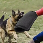 Dog Bite Sleeve, Training Sleeves Arm Protection For Large Black. Fixed Price $34.99.