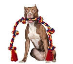 Professional Tug Toy 48 Inch Rope Heavy Duty Training Tool Large Dogs. Fixed Price $9.90.